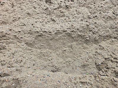 Beach sand